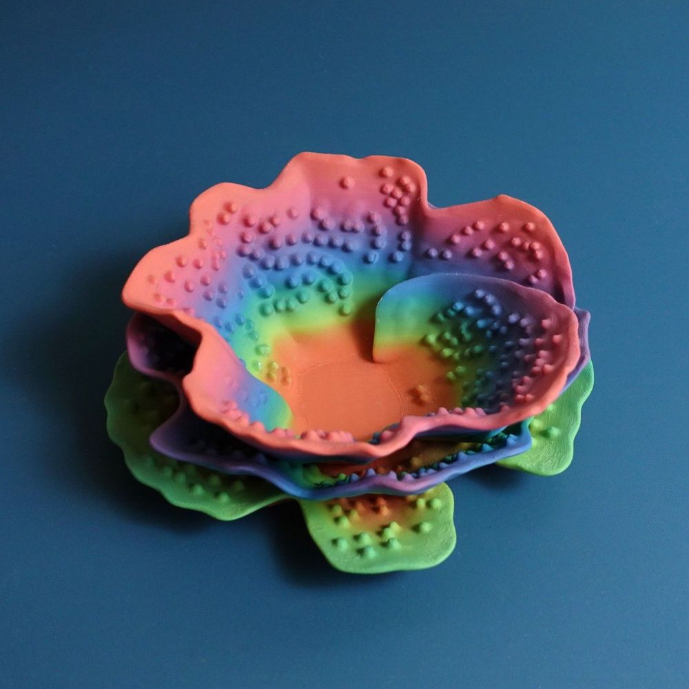 Gazzaladra Kitchen & Dining Reniformis Coral Bowl Decor | Tableware